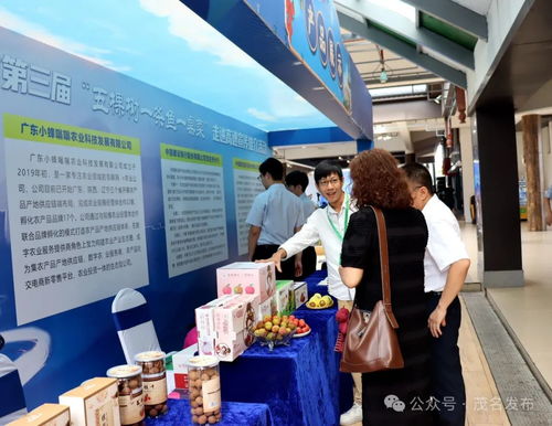 茂名鄉村振興出圈出彩，茂湛高速服務區變身農特產墟市與票務代理服務